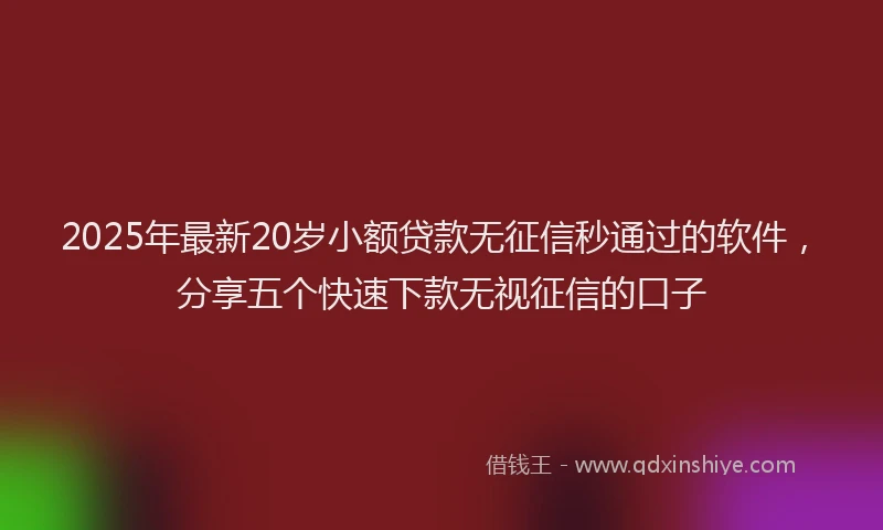 2025年最新20岁小额贷款无征信秒通过的软件，分享五个快速下款无视征信的口子
