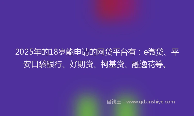 2025年的18岁能申请的网贷平台有：e微贷、平安口袋银行、好期贷、柯基贷、融逸花等。