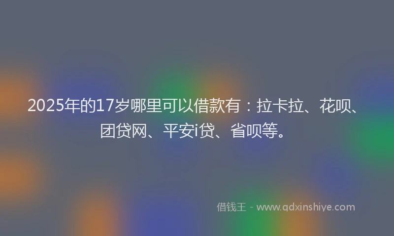 2025年的17岁哪里可以借款有：拉卡拉、花呗、团贷网、平安i贷、省呗等。