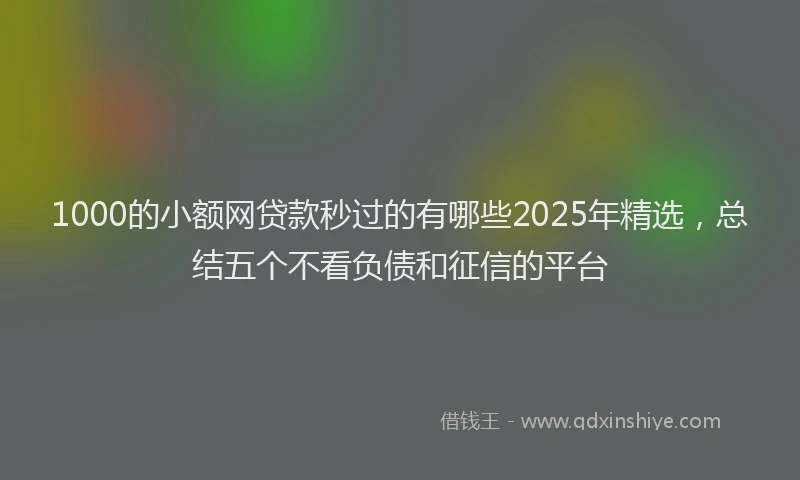 1000的小额网贷款秒过的有哪些2025年精选，总结五个不看负债和征信的平台
