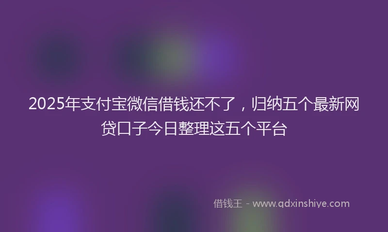 2025年支付宝微信借钱还不了，归纳五个最新网贷口子今日整理这五个平台