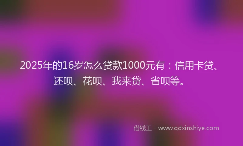2025年的16岁怎么贷款1000元有：信用卡贷、还呗、花呗、我来贷、省呗等。