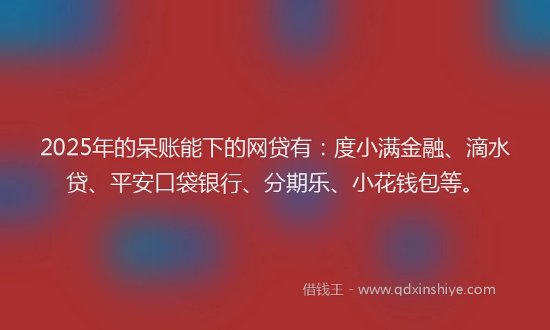 2025年的呆账能下的网贷有：度小满金融、滴水贷、平安口袋银行、分期乐、小花钱包等。