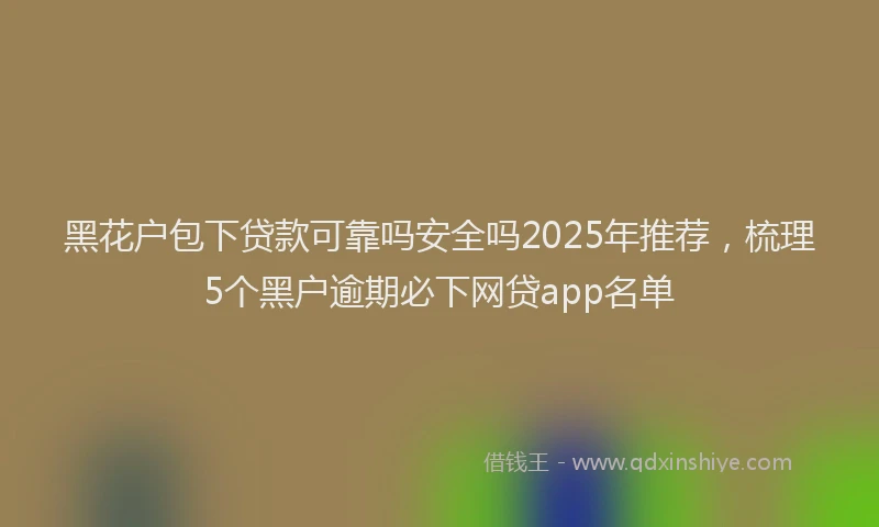 黑花户包下贷款可靠吗安全吗2025年推荐，梳理5个黑户逾期必下网贷app名单
