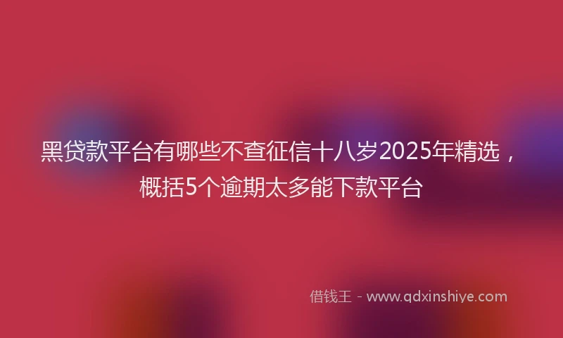 黑贷款平台有哪些不查征信十八岁2025年精选，概括5个逾期太多能下款平台