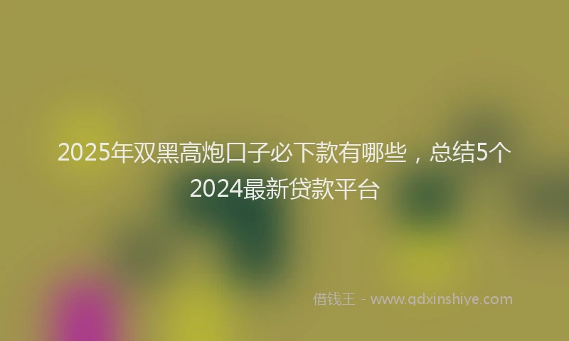 2025年双黑高炮口子必下款有哪些，总结5个2024最新贷款平台