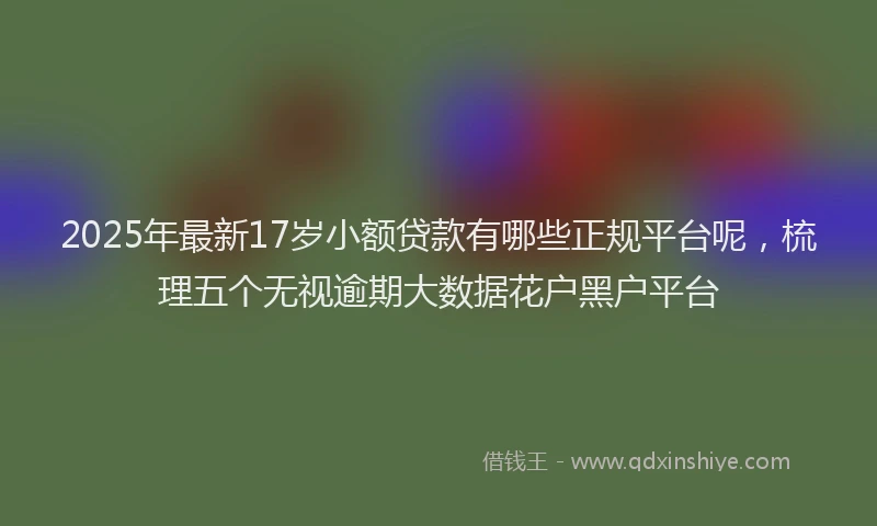 2025年最新17岁小额贷款有哪些正规平台呢，梳理五个无视逾期大数据花户黑户平台