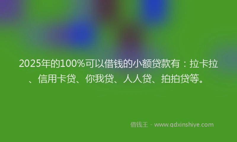 2025年的100%可以借钱的小额贷款有：拉卡拉、信用卡贷、你我贷、人人贷、拍拍贷等。
