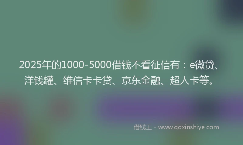 2025年的1000-5000借钱不看征信有：e微贷、洋钱罐、维信卡卡贷、京东金融、超人卡等。