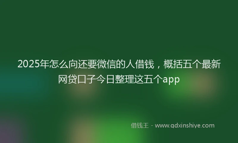 2025年怎么向还要微信的人借钱，概括五个最新网贷口子今日整理这五个app