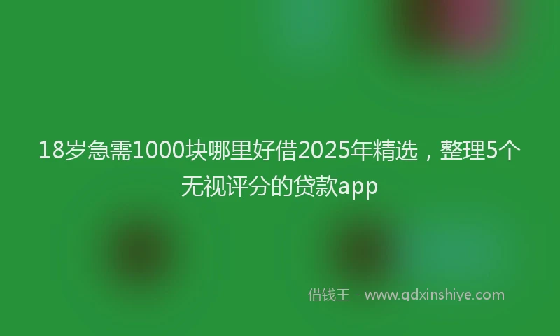 18岁急需1000块哪里好借2025年精选，整理5个无视评分的贷款app