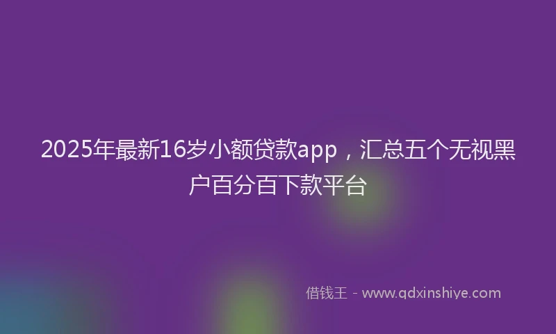 2025年最新16岁小额贷款app，汇总五个无视黑户百分百下款平台