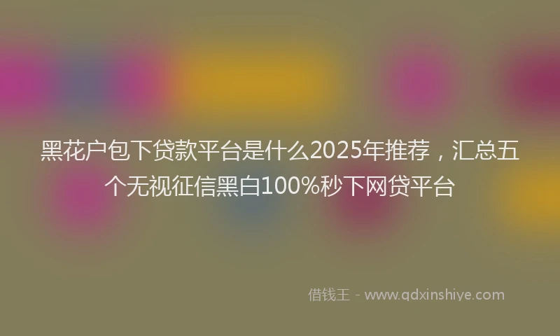 黑花户包下贷款平台是什么2025年推荐，汇总五个无视征信黑白100%秒下网贷平台