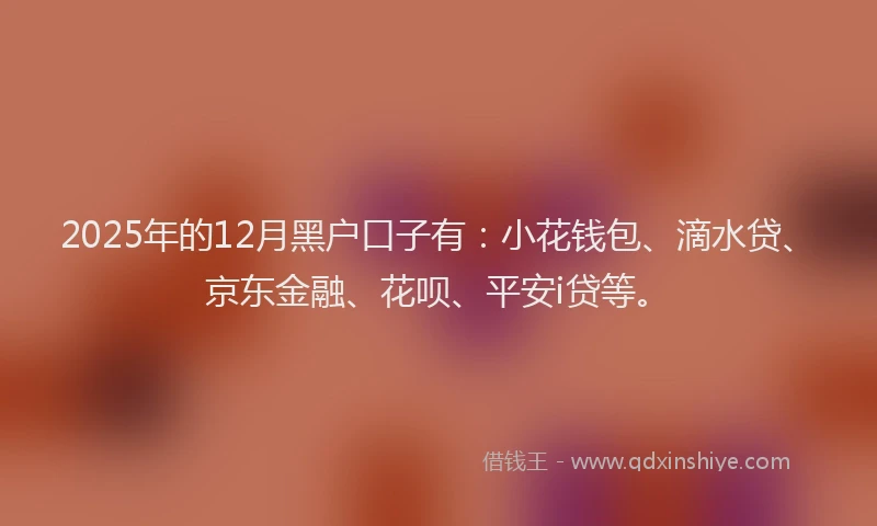 2025年的12月黑户口子有：小花钱包、滴水贷、京东金融、花呗、平安i贷等。