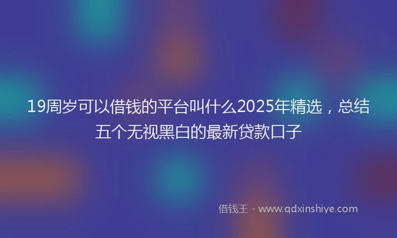 19周岁可以借钱的平台叫什么2025年精选，总结五个无视黑白的最新贷款口子
