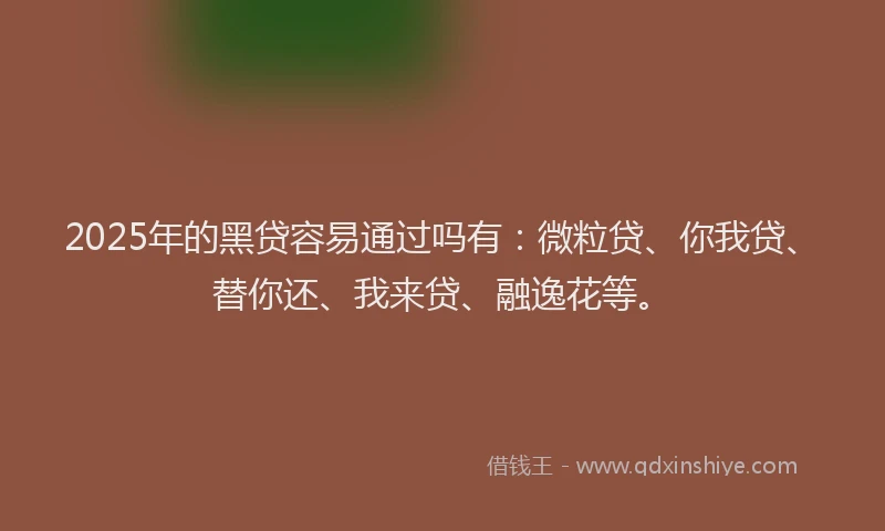 2025年的黑贷容易通过吗有：微粒贷、你我贷、替你还、我来贷、融逸花等。