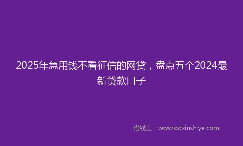 2025年急用钱不看征信的网贷，盘点五个2024最新贷款口子