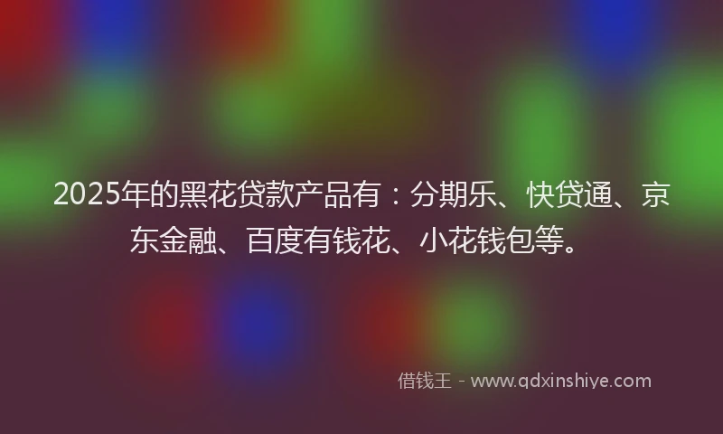 2025年的黑花贷款产品有：分期乐、快贷通、京东金融、百度有钱花、小花钱包等。