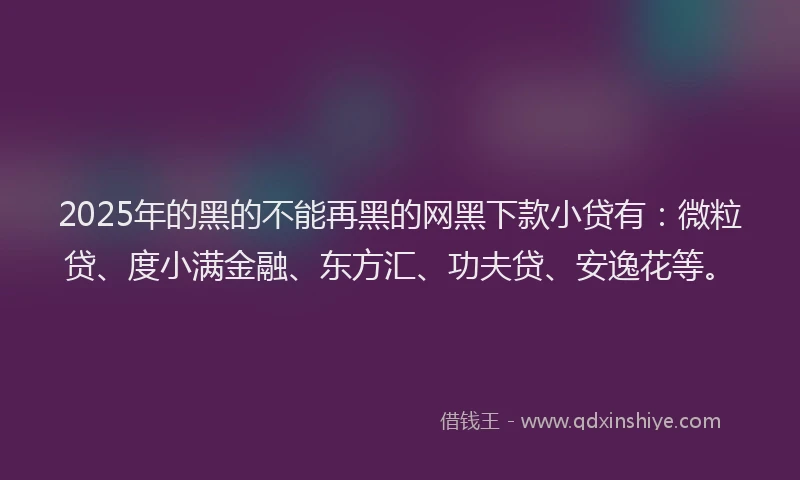 2025年的黑的不能再黑的网黑下款小贷有：微粒贷、度小满金融、东方汇、功夫贷、安逸花等。
