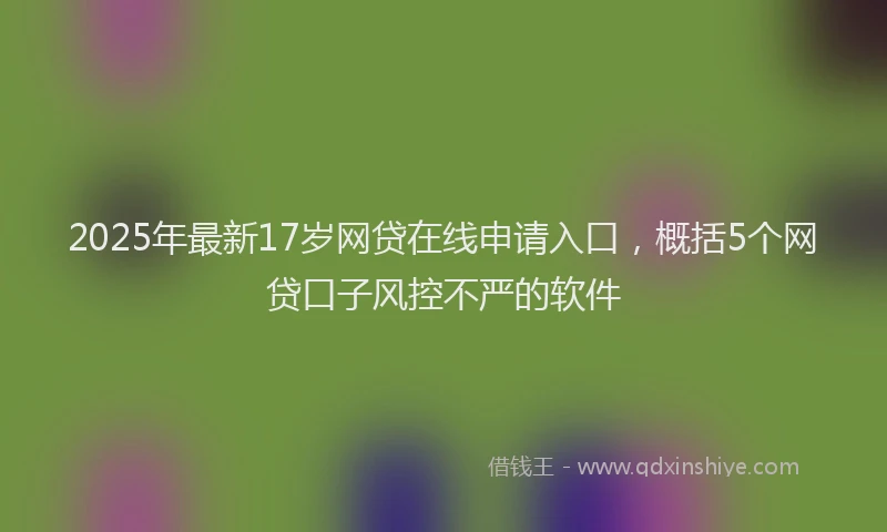 2025年最新17岁网贷在线申请入口，概括5个网贷口子风控不严的软件