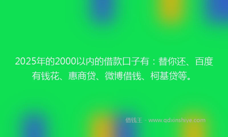 2025年的2000以内的借款口子有：替你还、百度有钱花、惠商贷、微博借钱、柯基贷等。