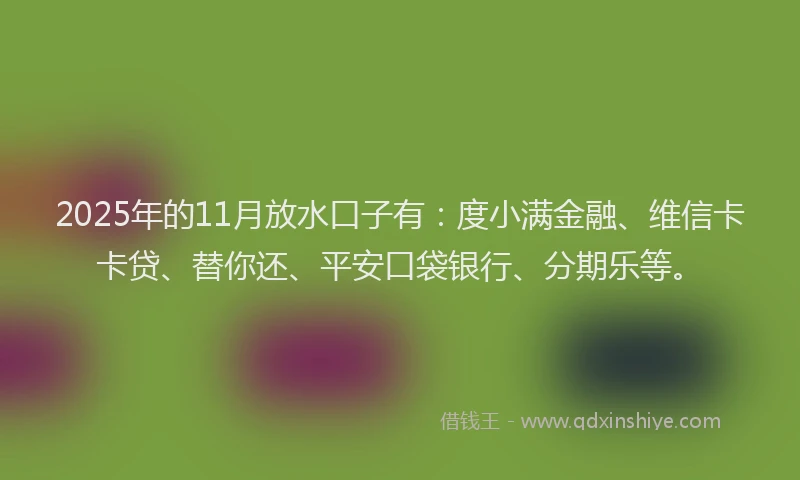 2025年的11月放水口子有：度小满金融、维信卡卡贷、替你还、平安口袋银行、分期乐等。