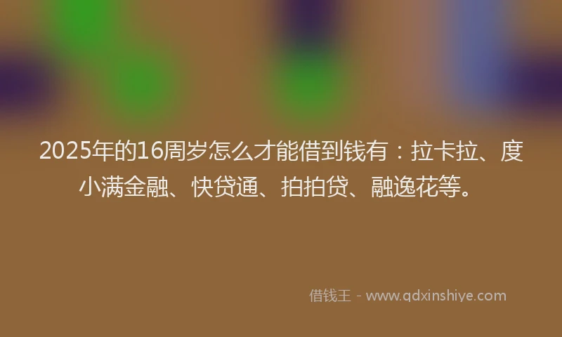 2025年的16周岁怎么才能借到钱有：拉卡拉、度小满金融、快贷通、拍拍贷、融逸花等。