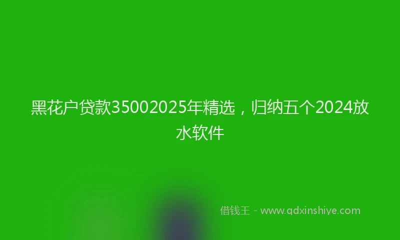 黑花户贷款35002025年精选，归纳五个2024放水软件