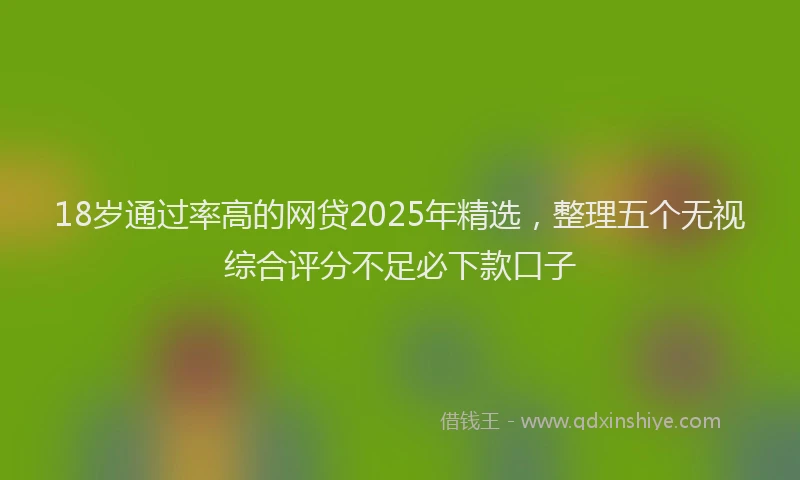 18岁通过率高的网贷2025年精选，整理五个无视综合评分不足必下款口子