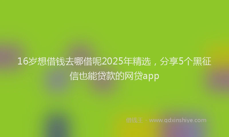16岁想借钱去哪借呢2025年精选，分享5个黑征信也能贷款的网贷app