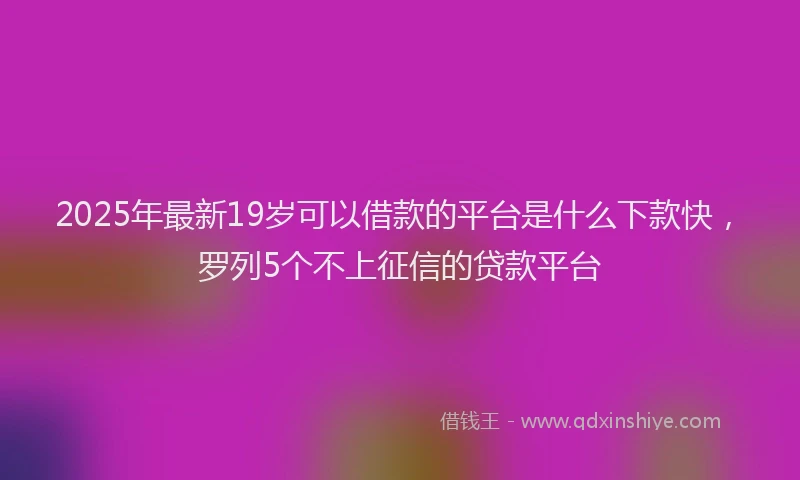 2025年最新19岁可以借款的平台是什么下款快，罗列5个不上征信的贷款平台