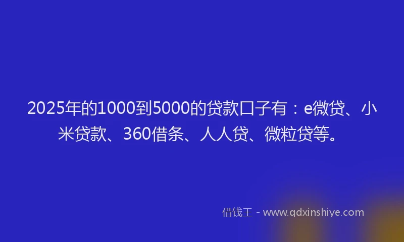 2025年的1000到5000的贷款口子有：e微贷、小米贷款、360借条、人人贷、微粒贷等。