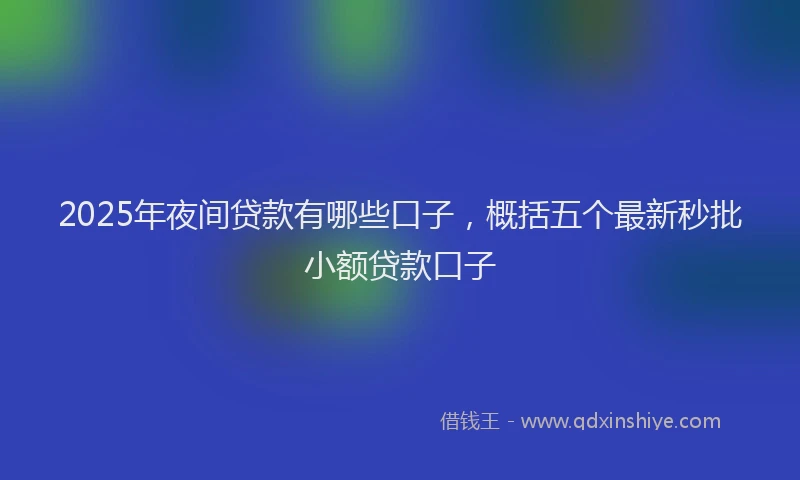2025年夜间贷款有哪些口子，概括五个最新秒批小额贷款口子