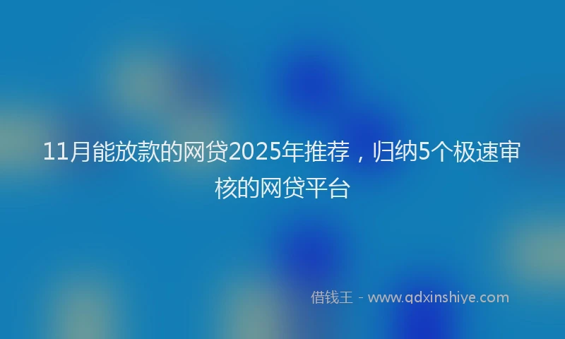 11月能放款的网贷2025年推荐，归纳5个极速审核的网贷平台