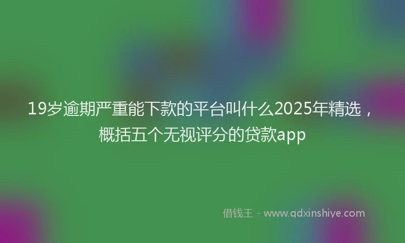 19岁逾期严重能下款的平台叫什么2025年精选，概括五个无视评分的贷款app