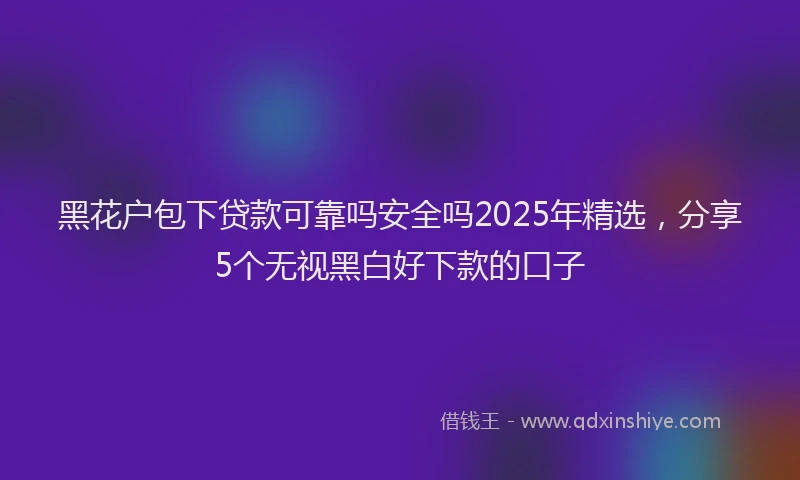 黑花户包下贷款可靠吗安全吗2025年精选，分享5个无视黑白好下款的口子
