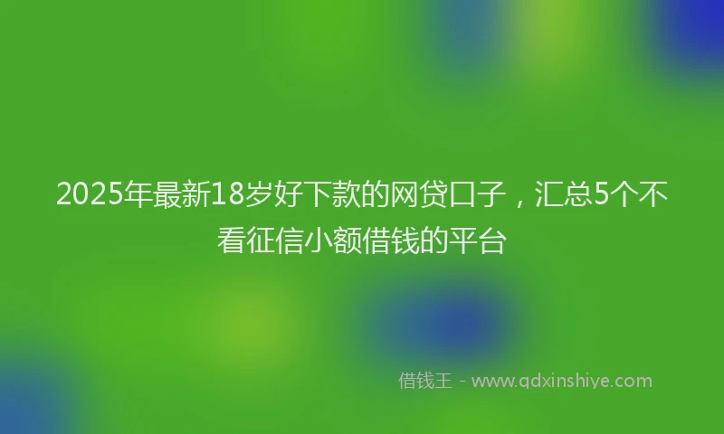 2025年最新18岁好下款的网贷口子，汇总5个不看征信小额借钱的平台