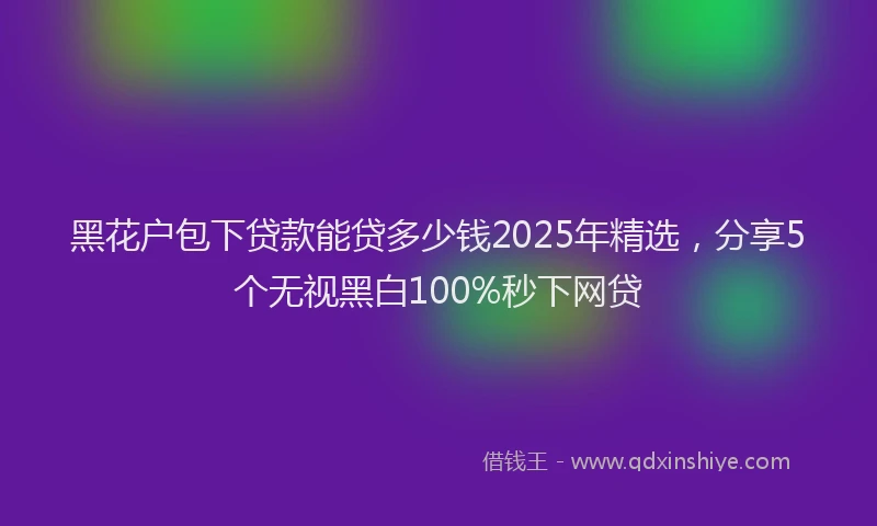 黑花户包下贷款能贷多少钱2025年精选，分享5个无视黑白100%秒下网贷