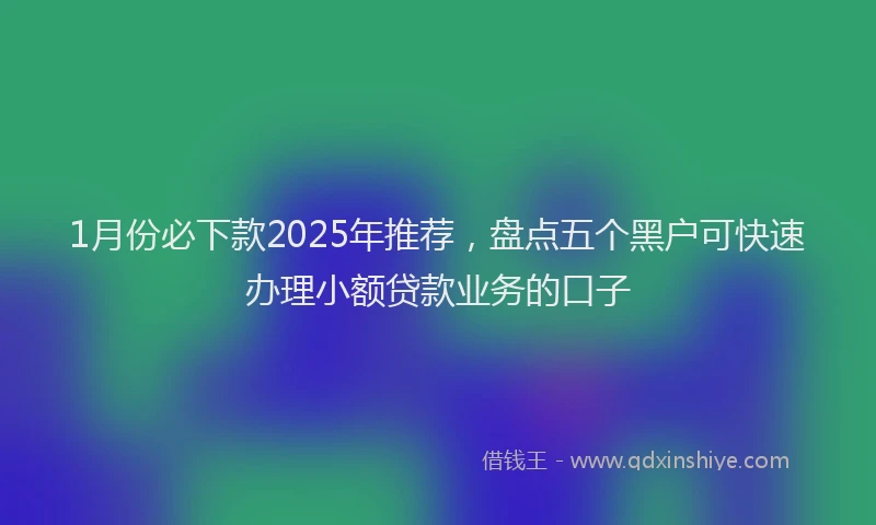 1月份必下款2025年推荐，盘点五个黑户可快速办理小额贷款业务的口子