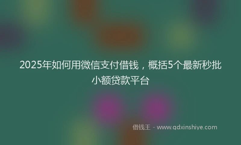 2025年如何用微信支付借钱，概括5个最新秒批小额贷款平台