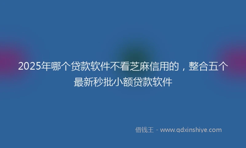2025年哪个贷款软件不看芝麻信用的，整合五个最新秒批小额贷款软件