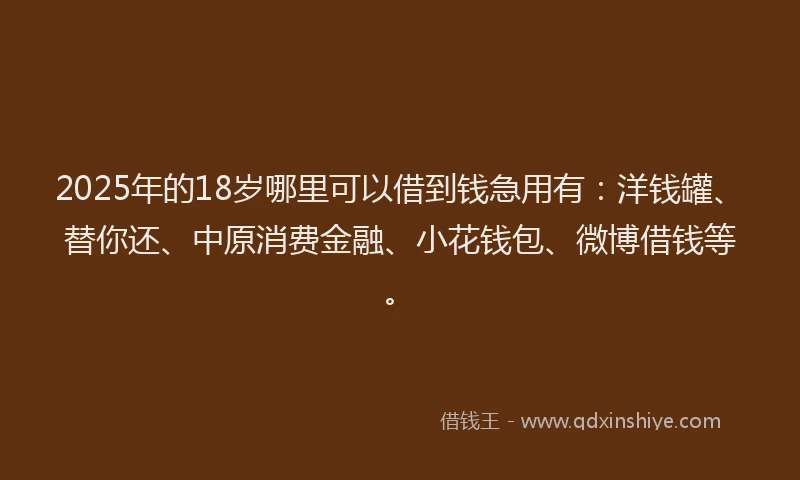 2025年的18岁哪里可以借到钱急用有：洋钱罐、替你还、中原消费金融、小花钱包、微博借钱等。