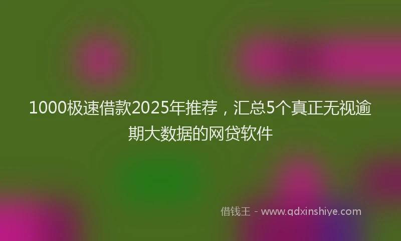 1000极速借款2025年推荐，汇总5个真正无视逾期大数据的网贷软件
