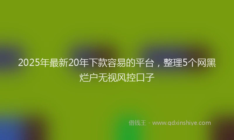 2025年最新20年下款容易的平台，整理5个网黑烂户无视风控口子
