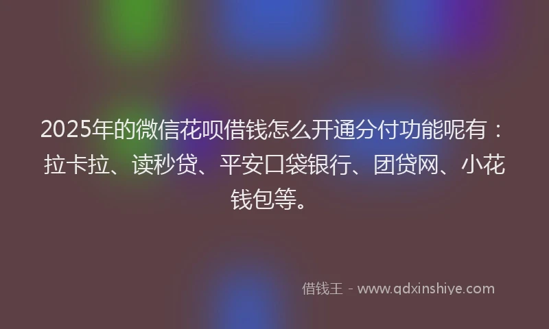 2025年的微信花呗借钱怎么开通分付功能呢有：拉卡拉、读秒贷、平安口袋银行、团贷网、小花钱包等。