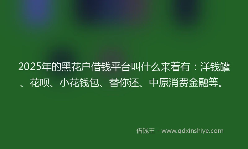 2025年的黑花户借钱平台叫什么来着有：洋钱罐、花呗、小花钱包、替你还、中原消费金融等。