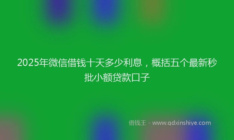 2025年微信借钱十天多少利息，概括五个最新秒批小额贷款口子