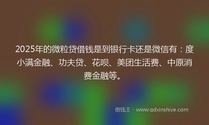 2025年的微粒贷借钱是到银行卡还是微信有：度小满金融、功夫贷、花呗、美团生活费、中原消费金融等。