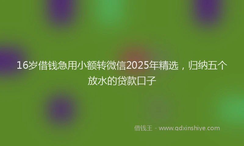 16岁借钱急用小额转微信2025年精选，归纳五个放水的贷款口子