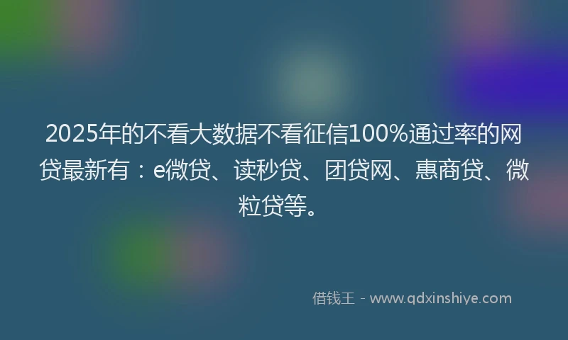 2025年的不看大数据不看征信100%通过率的网贷最新有：e微贷、读秒贷、团贷网、惠商贷、微粒贷等。